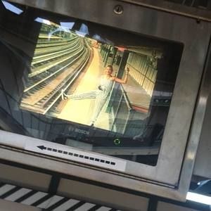 Meet your Posher, Tamar